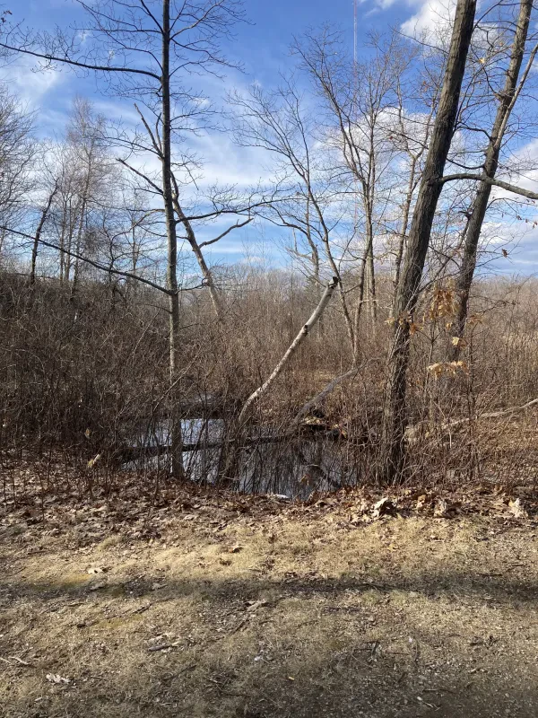 Framingham Yard Waste Drop Off - photo 2