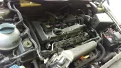 O'Reilly Auto Parts