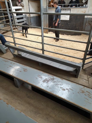 Farmerstown Livestock Auction