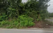 Germans Auto