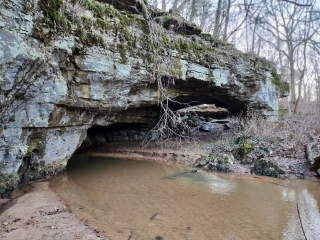Cave Springs
