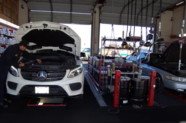 Speed Lube - photo 3