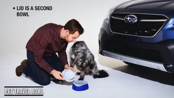 All American Subaru Service Center - photo 2