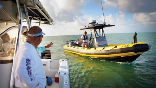 Sea Tow Tampa Bay