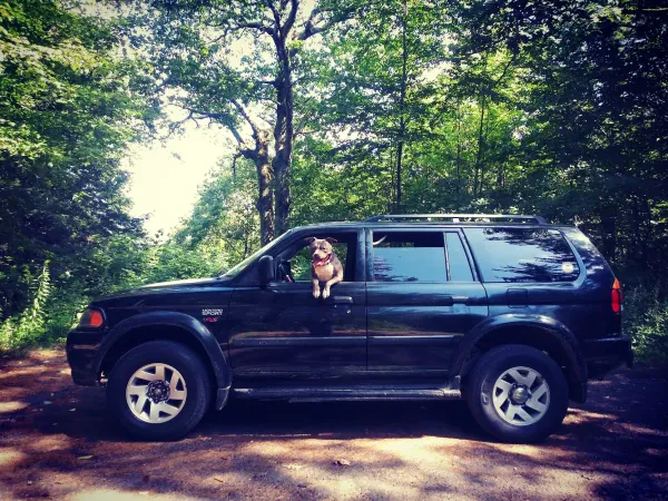 D&M Autoworks Sales and Service - photo 2