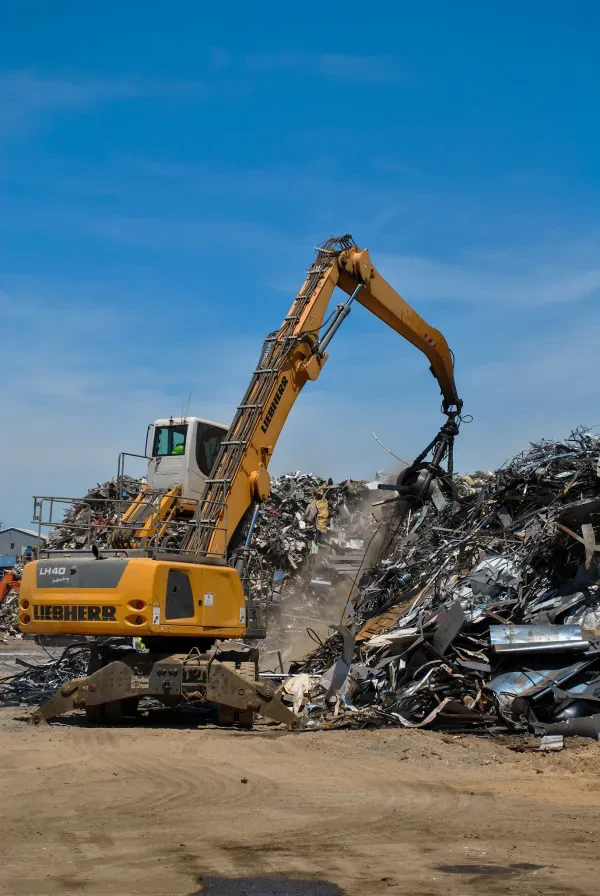 Lewis Salvage Shred Services - photo 3