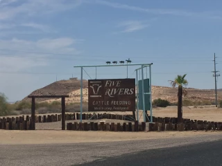 Five Rivers Cattle Feeding- McElhaney Feedyard