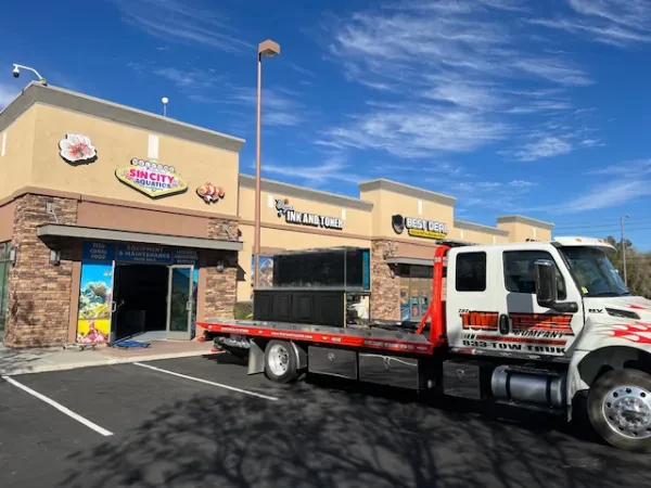 The Tow Truck Company - photo 3
