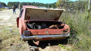Dons Car Crushing