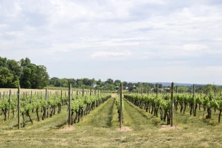 Waltz Vineyards Estate Winery