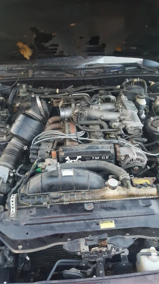 Automotive Specialists