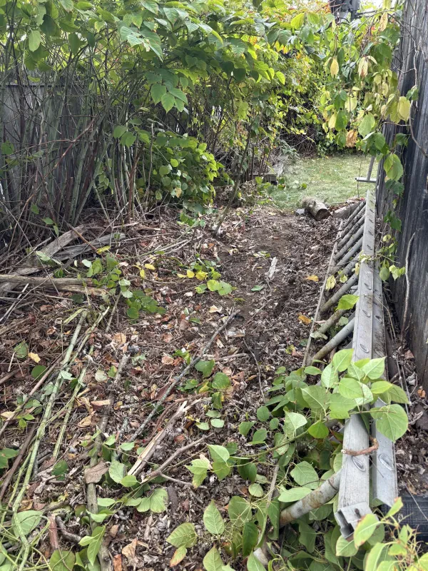 JGL Junk Removal - photo 4