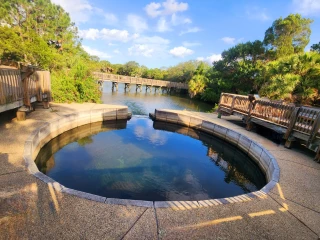 Wall Springs Park