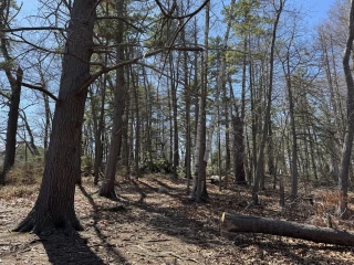Deer Island