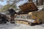 Tosy's Ford Mustang Farm