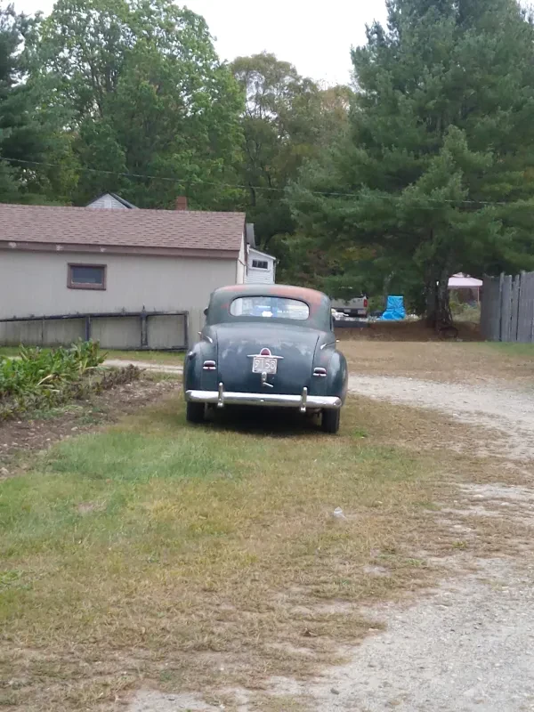 Tosy's Ford Mustang Farm - photo 2