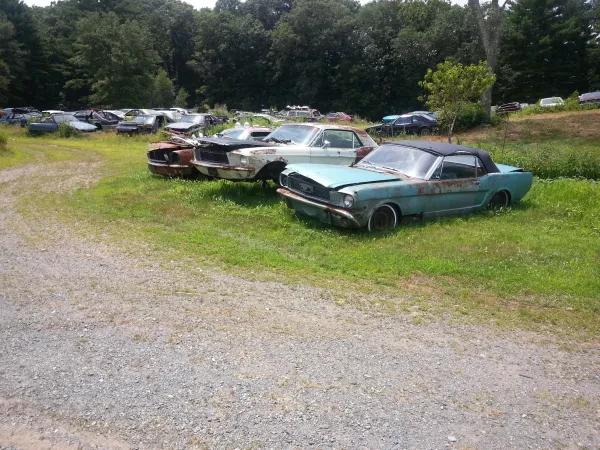 Tosy's Ford Mustang Farm - photo 4