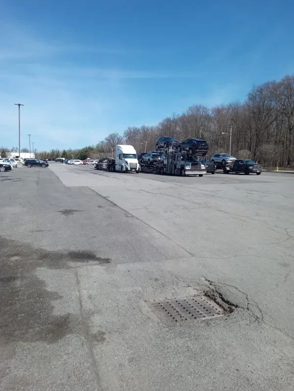 Manheim New York - photo 3