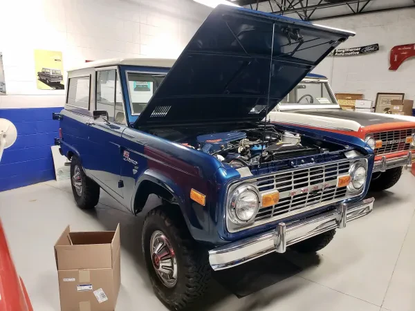 Jeff's Bronco Graveyard - photo 4