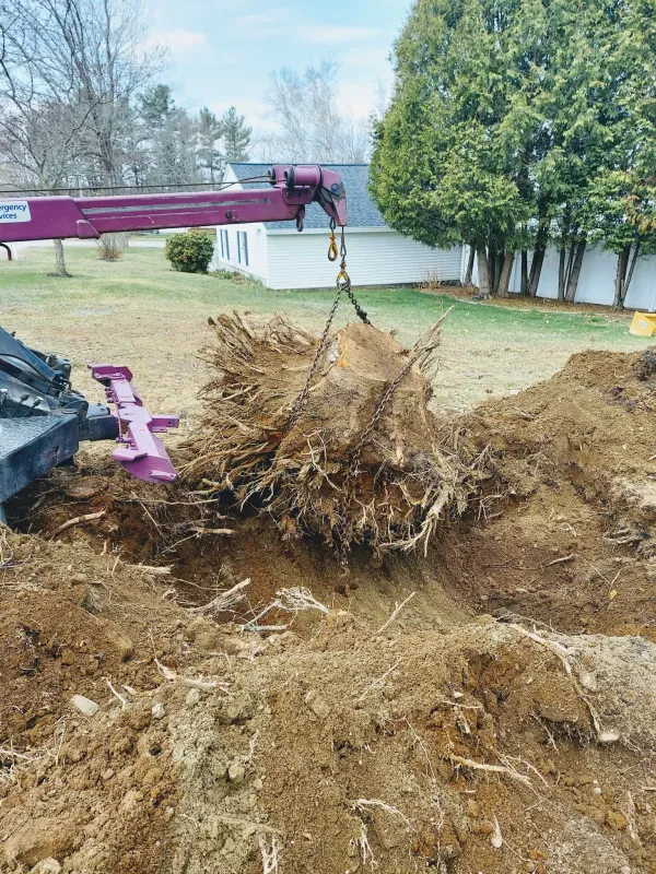 Phoenix Towing - photo 3