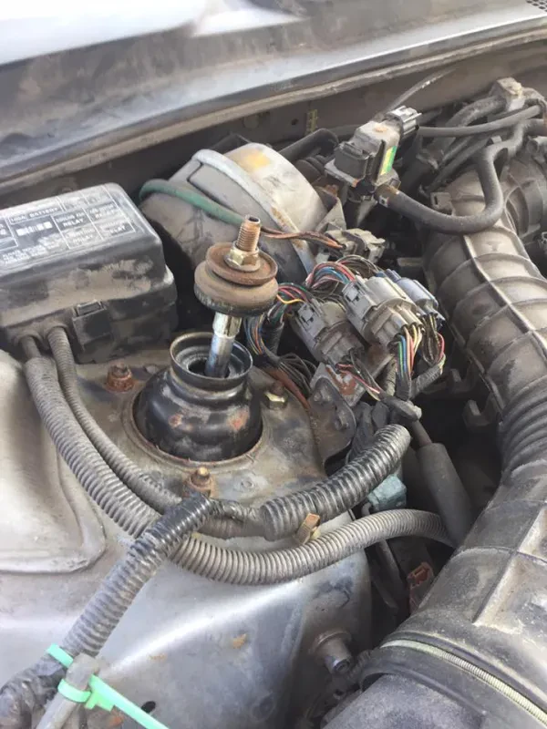 Superior Automotive - photo 4