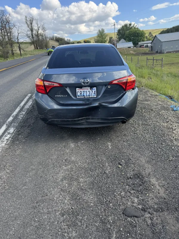 University Collision of Pullman - photo 4