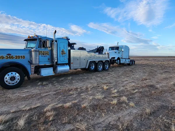 The Royal Towing - photo 2
