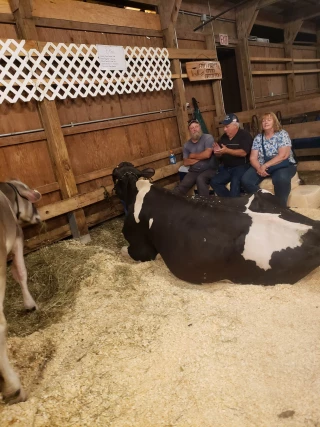 Bridgewater Country Fair