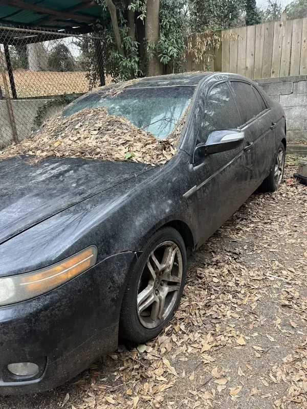 RidOfMyCar - photo 3