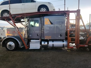Auto Auction of Montana