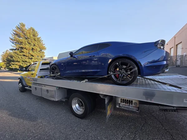 Pacific Towing Santa Rosa - photo 4