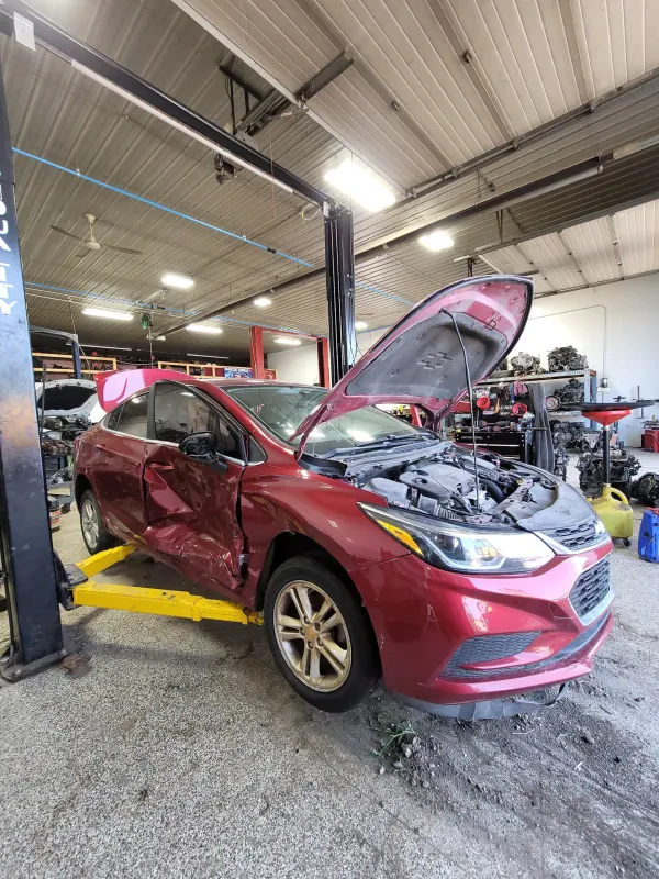 Team Automotive & Parts - photo 3