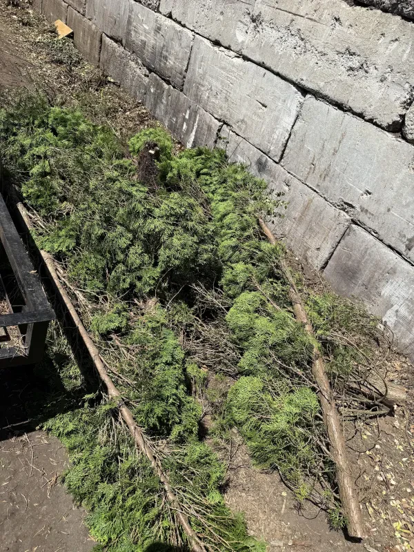 Environmental Renewal LLC - photo 2