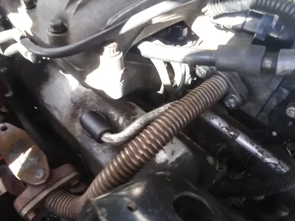 Shafer Automotive - photo 2