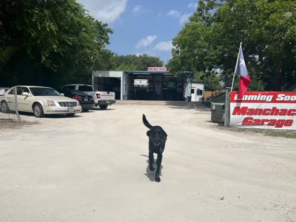 Manchaca Garage LLC - photo 4