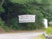 Bugs Stevens Freetown Auto