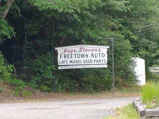 Bugs Stevens Freetown Auto