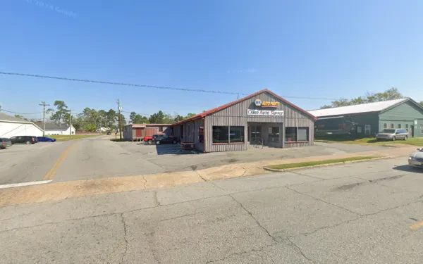 NAPA Auto Parts - Cairo Auto Supply - photo 3