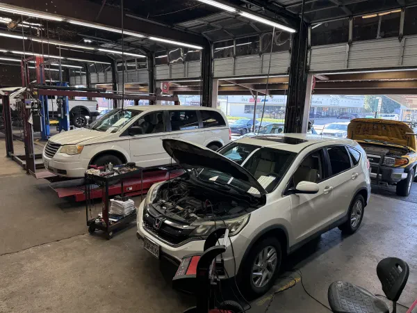 Ripley's Total Car Care - Spring - photo 3