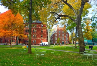 Harvard Yard