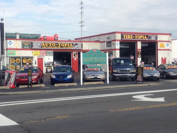 Auto-Topia - photo 4