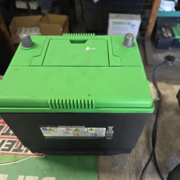 Interstate Batteries of Coastal Plains Evergreen - photo 2