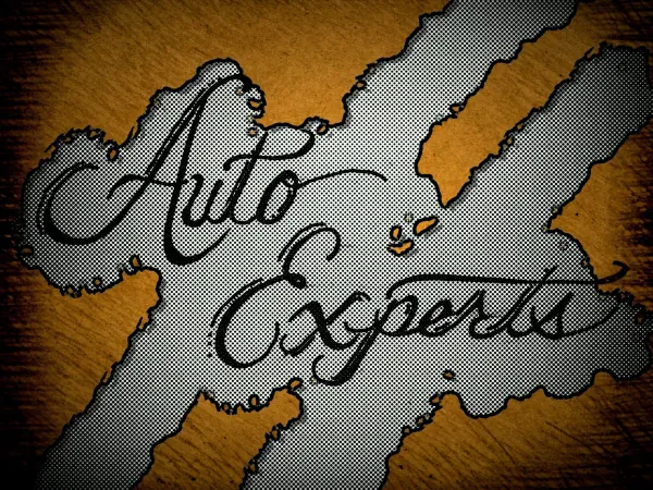 AUTO EXPERTS - photo 3