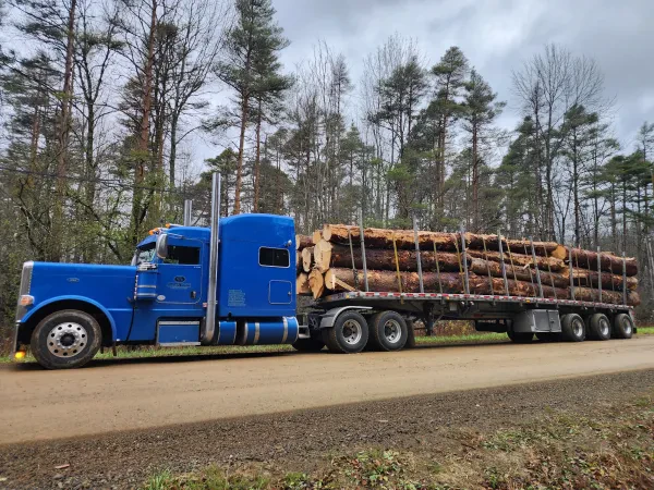 Big Red Towing North - photo 3