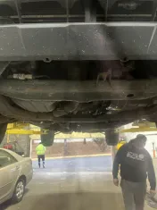 The Auto clinic