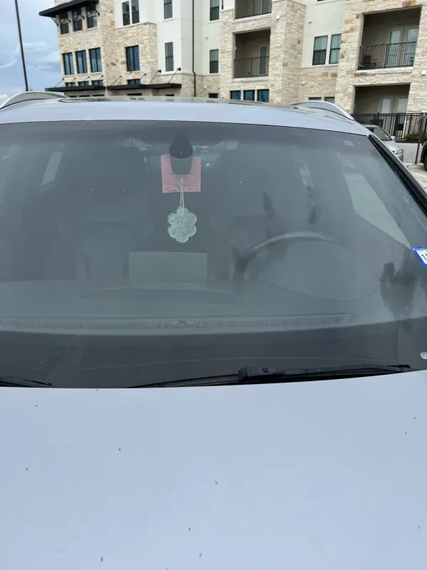 WILL TOW - photo 2