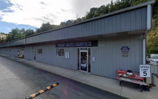 Wolf Automotive