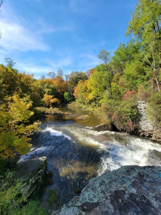 Tanners Falls Walking Trail