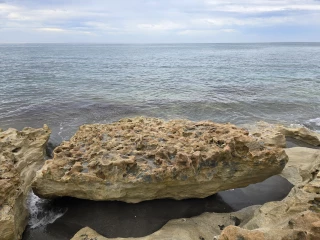 Blowing Rocks Preserve