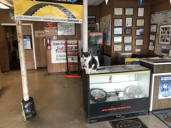 Golden Ring Car & Truck Repair - photo 4